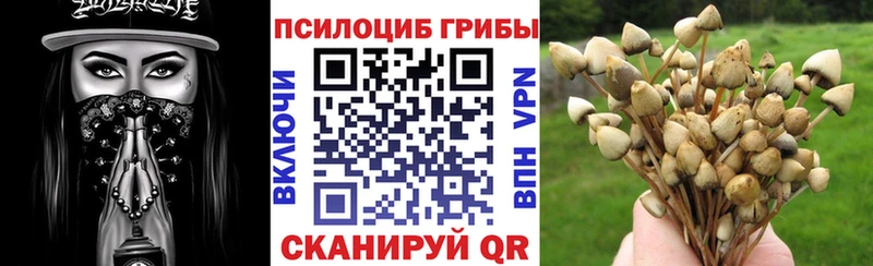 сколько стоит  Ессентукская  даркнет состав  Галлюциногенные грибы прущие грибы 